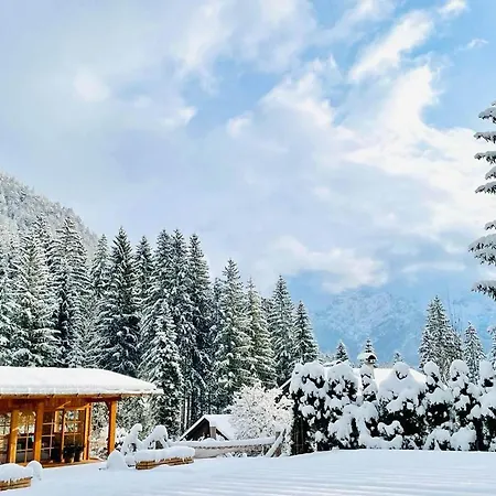 Gamsglueck Chalet Waidring