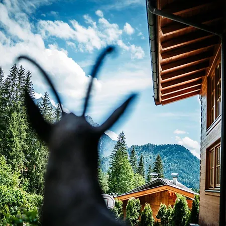 In Kitzbuehel Alps Near Slopes Chalet